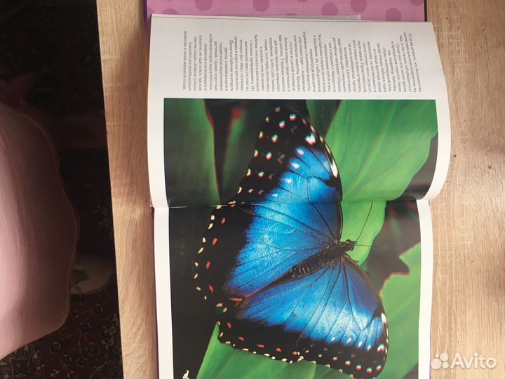 Книга для детей 3D Насекомые