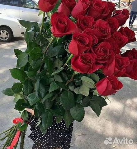 Розы Высокие 150см 160см 170см 180см 190см 2м