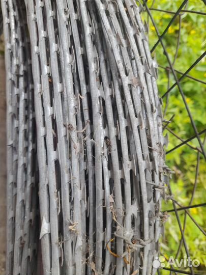 Колючая проволока 