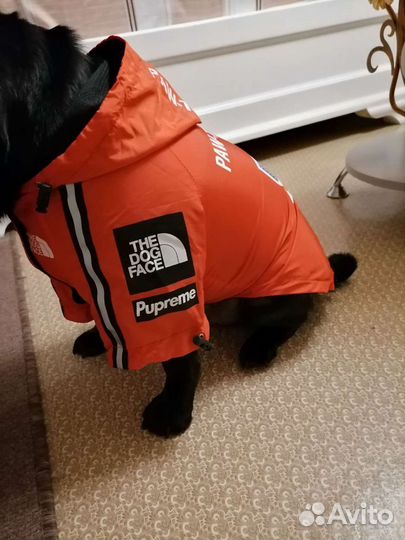 Куртка балоневая