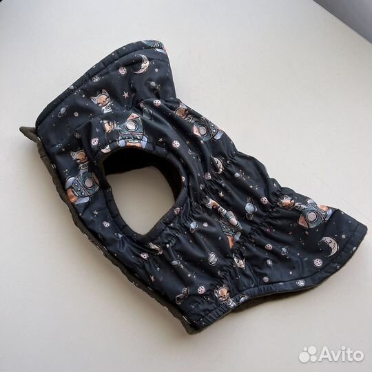 Одежда для собак