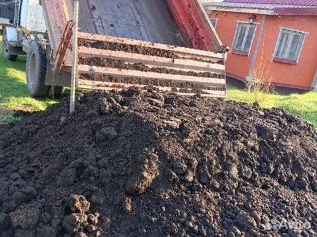 Чернозем
