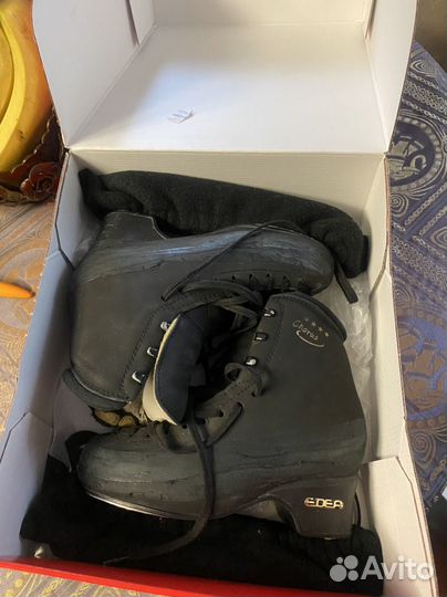 Фигурные коньки edea chorus 230