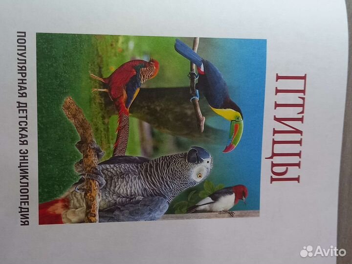 Энциклопедия про птиц