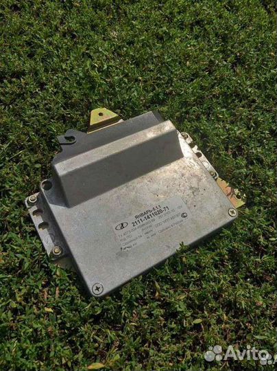 Эбу мозги январь 5.1.1