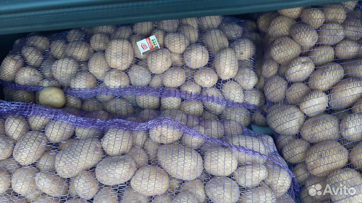 Картофель свежий доставка