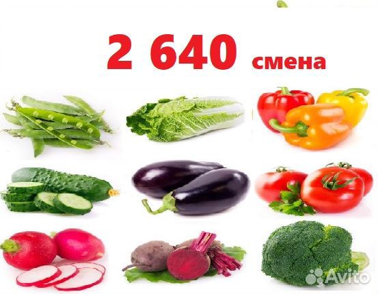 Работа вахта Питание Проживание Упаковщица овощей