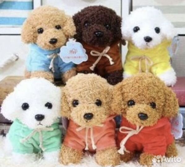 Котята и щенки в костюмах