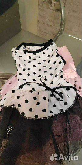 Одежда для мелких пород собак и миски для вольера