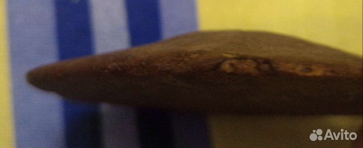 Окаменелость.Плоский щитообразный морской ёж