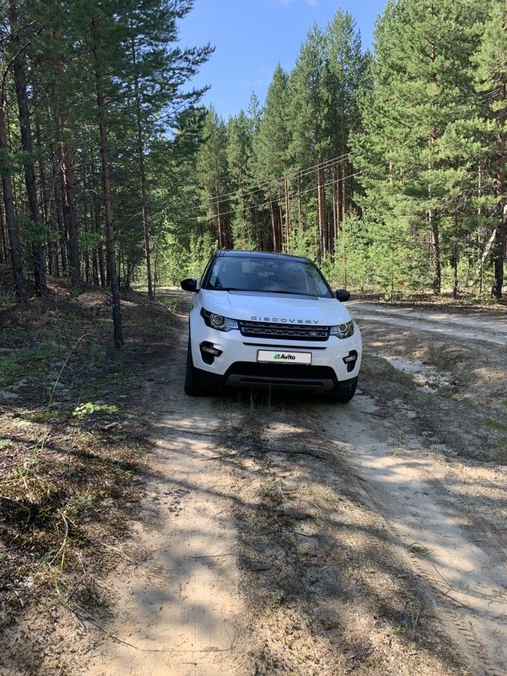 Land Rover Discovery Sport: фото владельца
