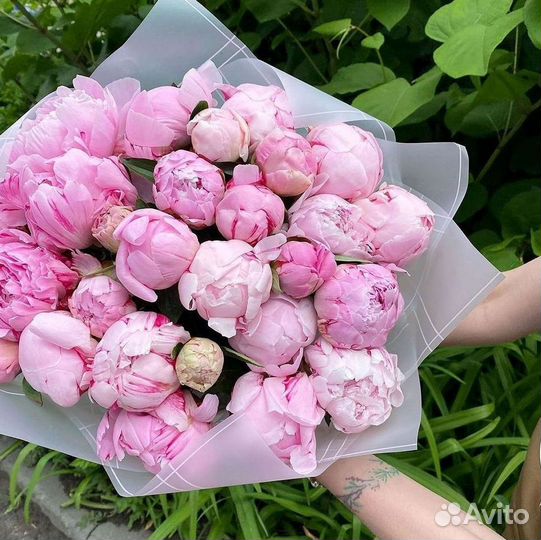 Пионы Цветы Доставка