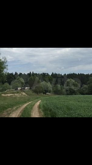 Участок 23,7 сот. (СНТ, ДНП)