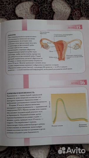 Книги для беременных