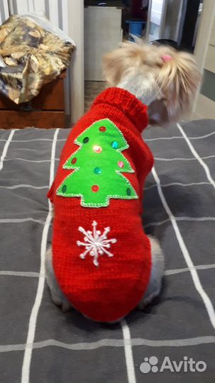 Одежда для маленьких собак