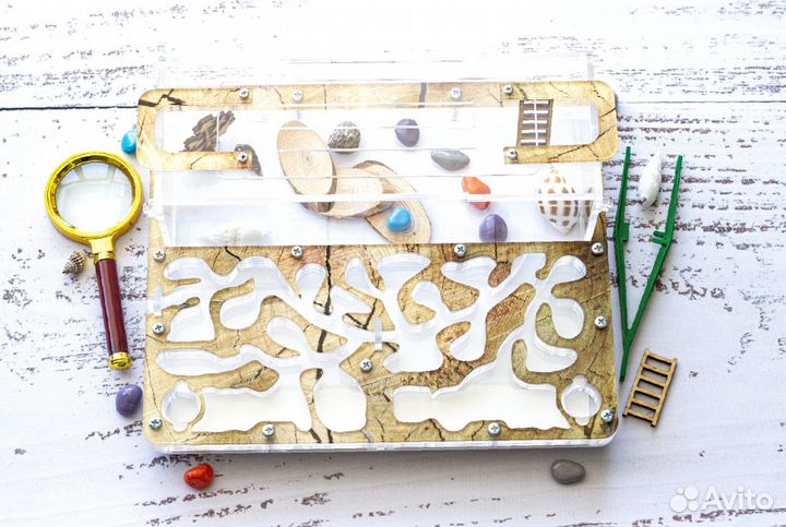 Муравьиная ферма (комплект)