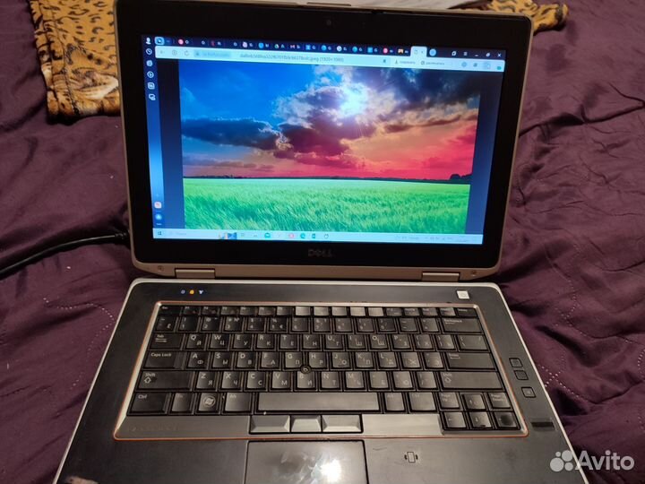 Ноутбук dell latitude