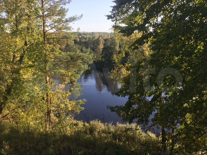 Участок 1,18 га (СНТ, ДНП)