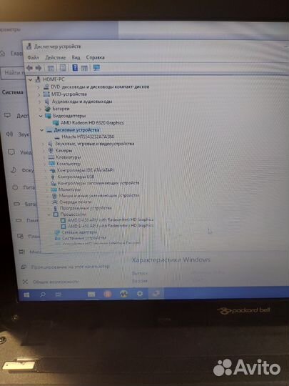 Packard bell для работы и учёбы