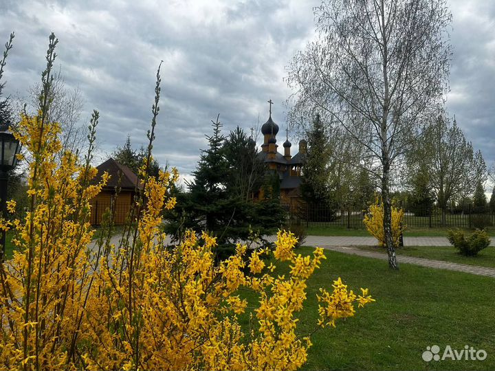 Тур в Беларусь