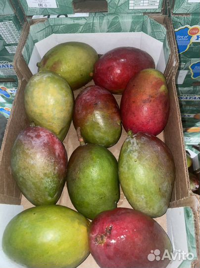 Манго израиль