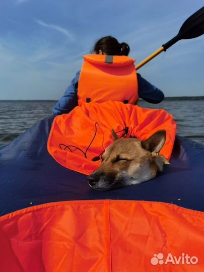 Байдарка SUP board аренда прокат