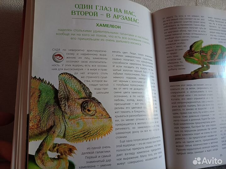 Волкова Неведомы зверюшки