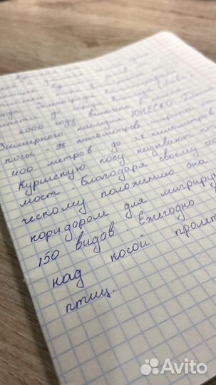 Пишу лекции