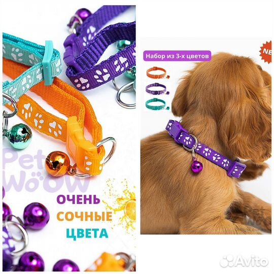 Когтеточка, шлейка поводок, набор ошейников