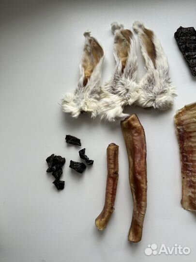 Вкусняшки и лакомства для собак