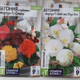 Бегония (семена)