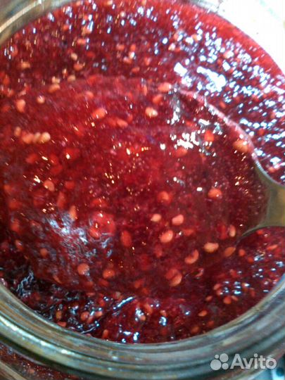 Саженцы ремонтантной малины, ароматная. Ежевика