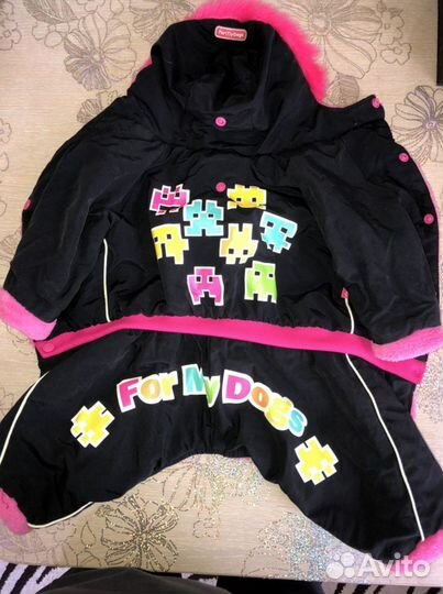 Одежда для собак