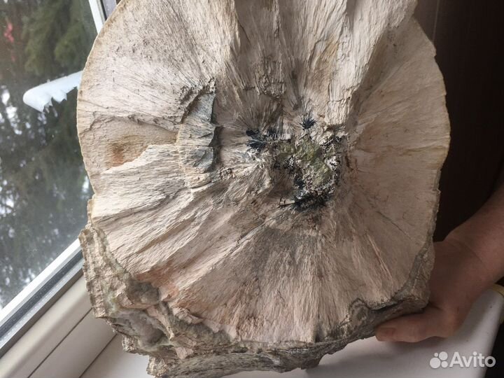 Продаётся шикарный образец