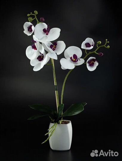 Орхидея фаленопсис искуственная в кашпо