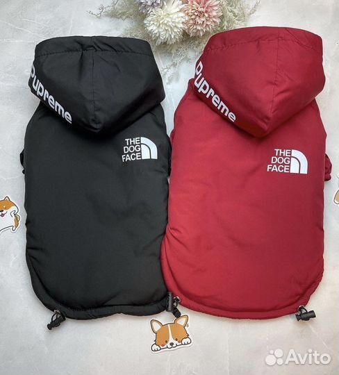 Куртка для собак