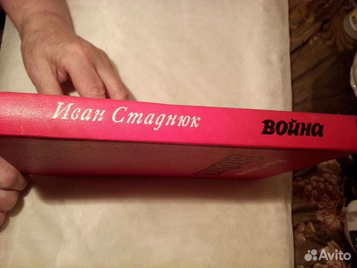 И. Стаднюк. Роман 