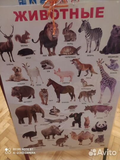 Доска для рисования - мольберт двухсторонний