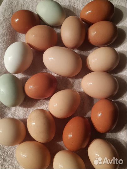 Яйцо куриное домашнее/ Продукты из деревни