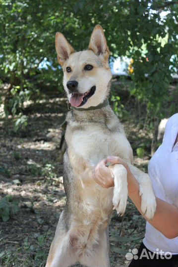 Красивая девочка Кетрин ищет семью