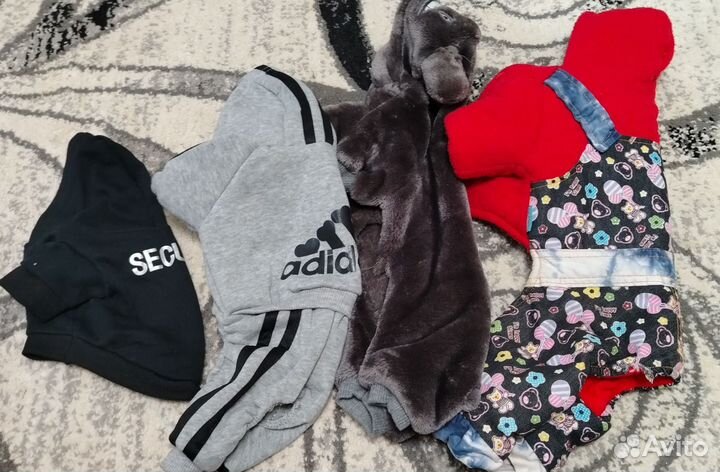 Одежда для маленьких собак