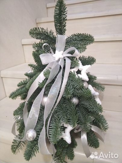Пихта нобилис новогодняя елка
