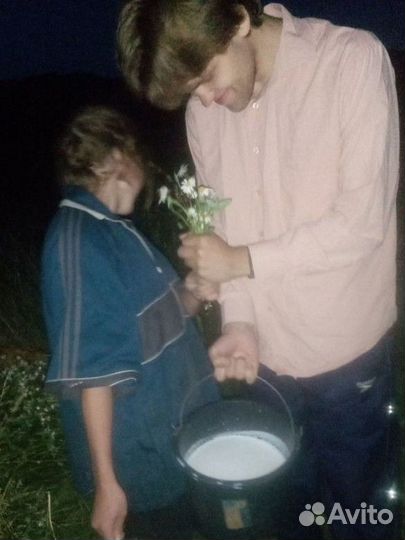 Молоко коз Горного Чарыша