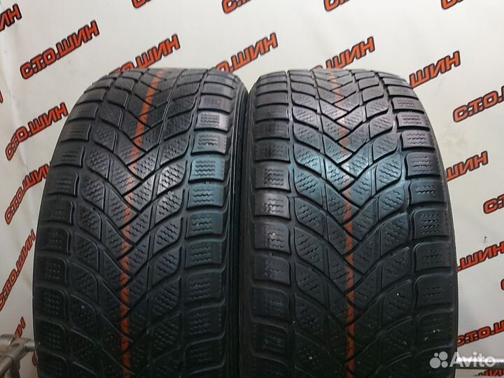 Landsail Winter Lander 215/50 R17 95H