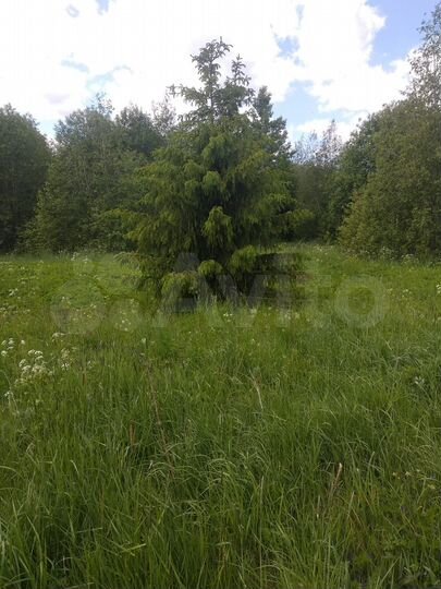 Участок 10 сот. (СНТ, ДНП)