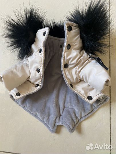 Одежда для собак