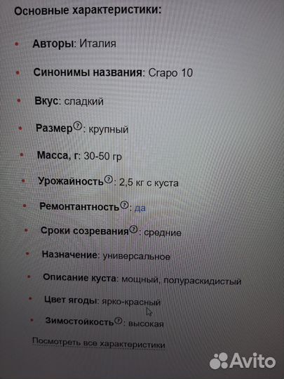 Саженцы клубники