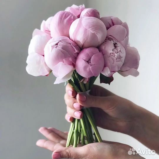 Свадебный букет невесты. Цветы Доставка