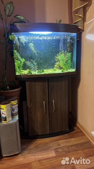 Аквариум с тумбой