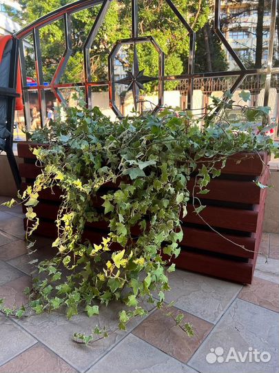 Кашпо вазоны для цветов